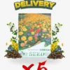 Flowering Mixed Perennial Wildflower Seeds - Thumbnail Image 3