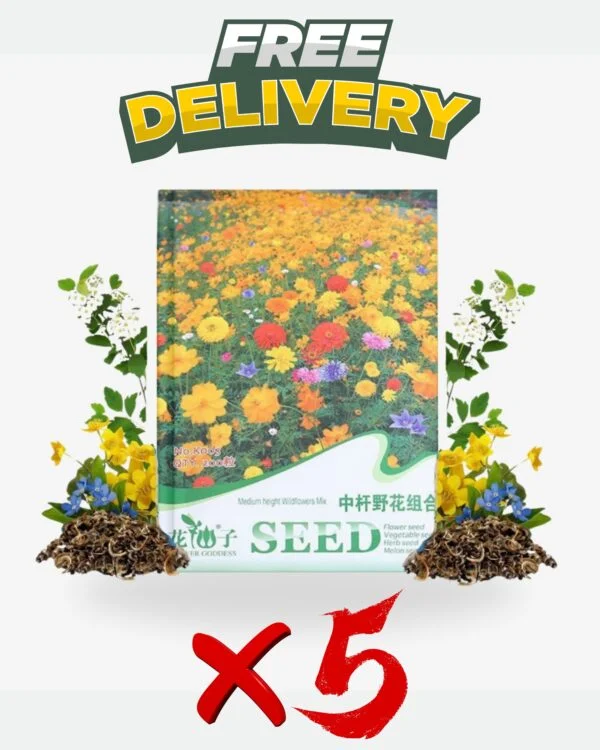 Flowering Mixed Perennial Wildflower Seeds - Image 3