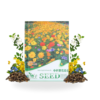 Flowering Mixed Perennial Wildflower Seeds - Thumbnail Image 2