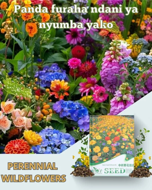 Flowering Mixed Perennial Wildflower Seeds - Image 1